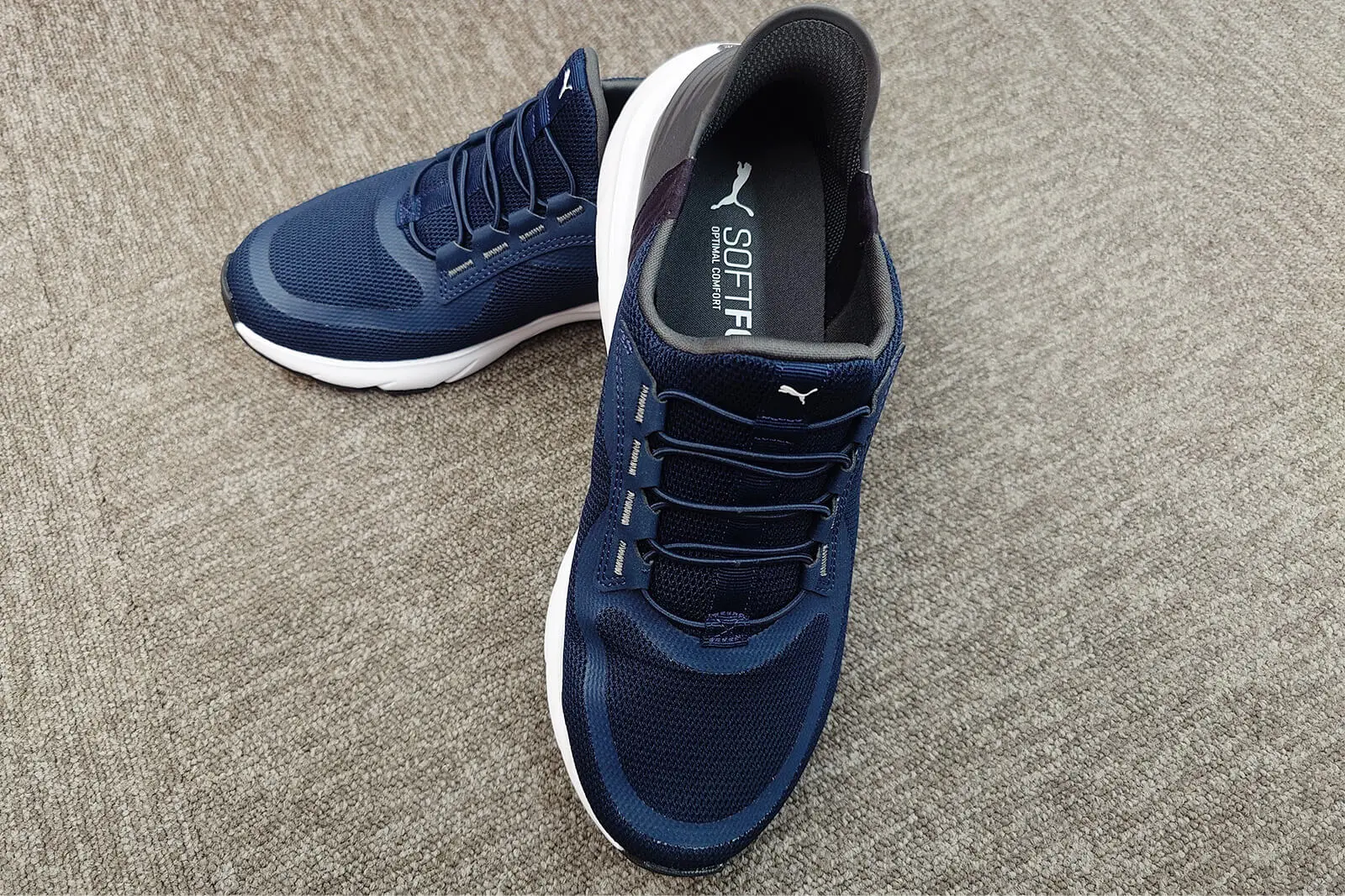 puma_20240708_05.jpg.webp