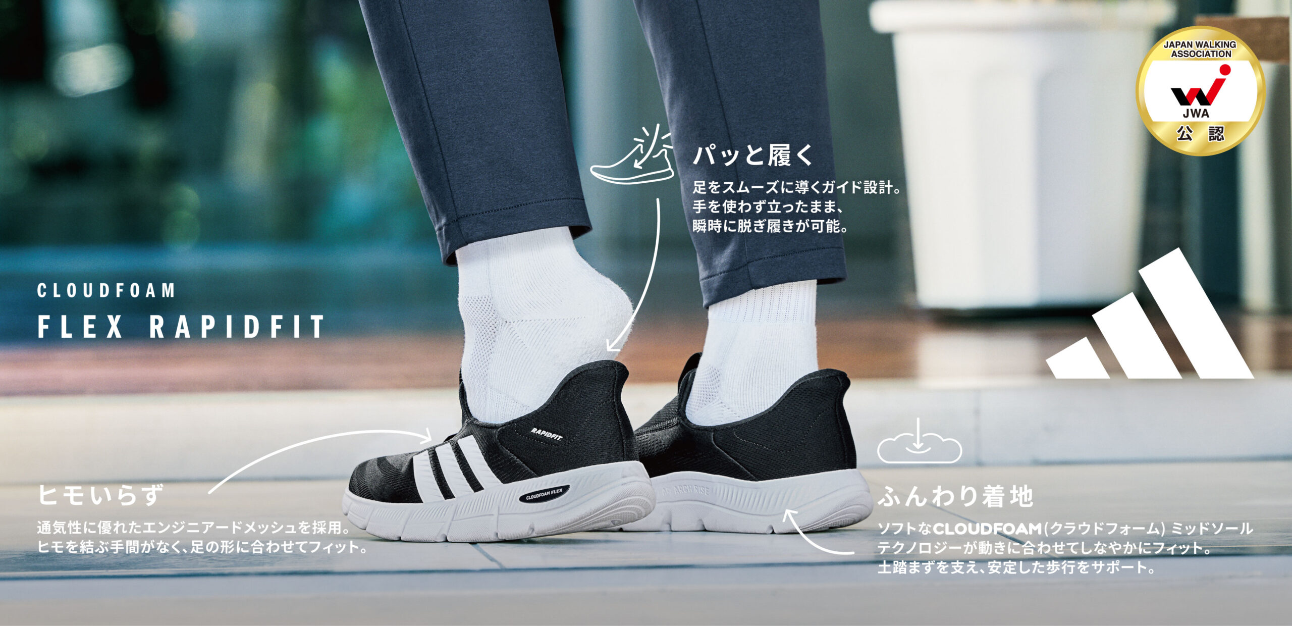 商品写真メイン